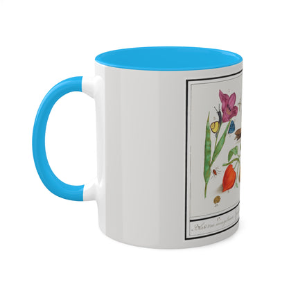 Natural History Ensemble, No. 17 by Anselmus Boëtius de Boodt Colorful Mugs, 11oz