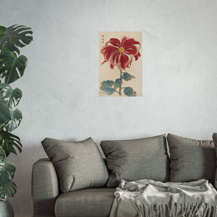 Chrysanthemum Elegance Fine Art Posters