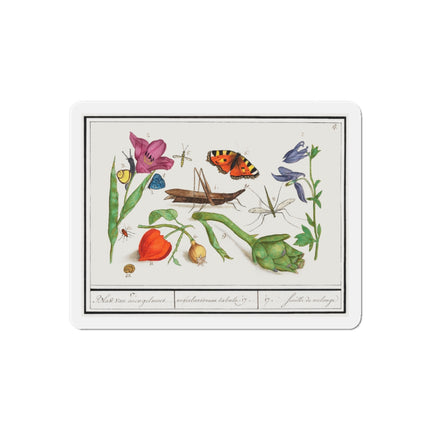 Natural History Ensemble, No. 17 Die-Cut Magnets (5 Sizes)