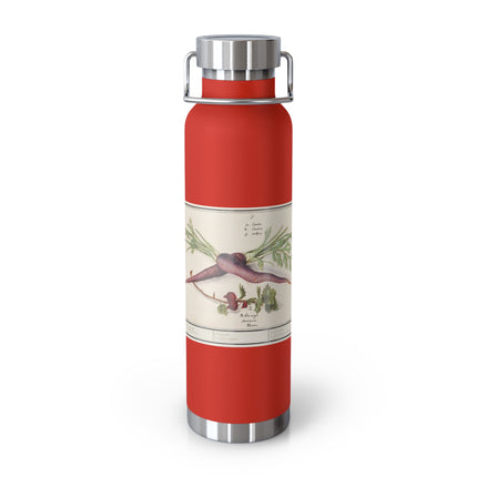 Carrot, Daucus carota and red currant, Ribes rubrum by Anselmus Boëtius de Boodt Copper Vacuum Insulated Bottle, 22oz