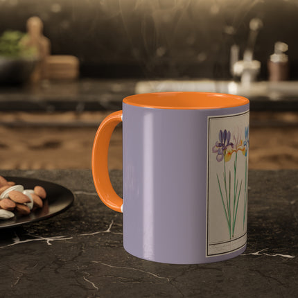 Iris, Iris sibirica by Anselmus Boëtius de Boodt Colorful Mugs, 11oz