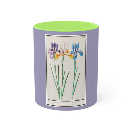 Iris, Iris sibirica by Anselmus Boëtius de Boodt Colorful Mugs, 11oz