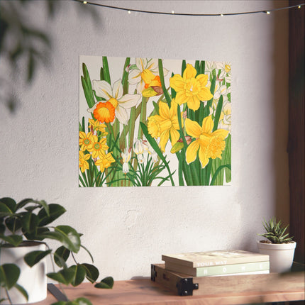 Daffodil by Tanigami Kônan Premium Matte horizontal posters