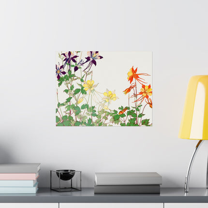 Aquilegia Flower by Tanigami Kônan Premium Matte horizontal posters
