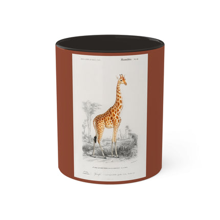 Giraffe by Charles Dessalines D' Orbigny Colorful Mugs, 11oz