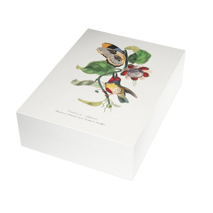 Versicolored Barbet by Paul Gervais Postcards (envelopes included) - Bundles of 10, 30, 50 Pieces