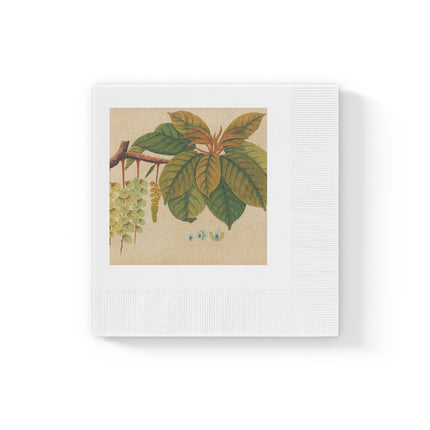 Album of watercolors of Asian fruits and flowers Pl.03 by Anonymous White Coined Napkins