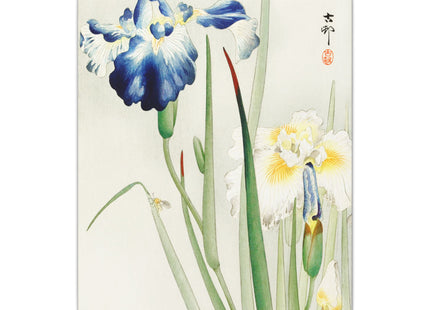 Irises by Ohara Koson Matte Canvas, Stretched, 0.75"
