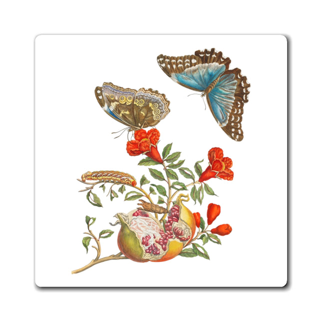 Blue Butterflies and Pomegranate by Maria Sibylla Merian Magnets (3 Sizes)