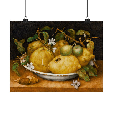 Still Life with Bowl of Citrons by Giovanna Garzoni Matte Horizontal Posters