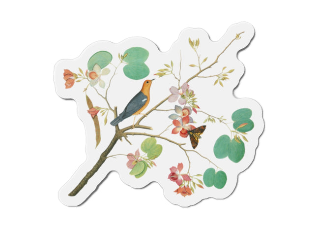 Orange-Headed Ground Thrush by Shaikh Zain al–Din Die-Cut Magnets (5 Sizes)