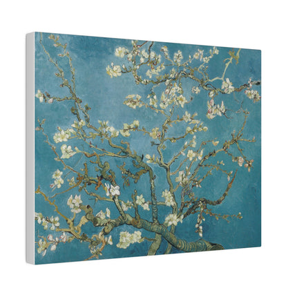 Almond Blossom by Vincent van Gogh Matte Canvas, Stretched, 0.75"