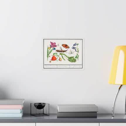 Natural History Ensemble, No. 17 by Anselmus Boëtius de Boodt Matte Horizontal Posters