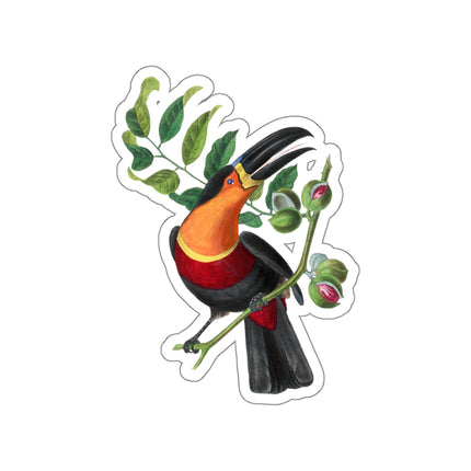 Channel Billed Toucan by Paul Gervais Kiss-Cut Stickers (4 Sizes)