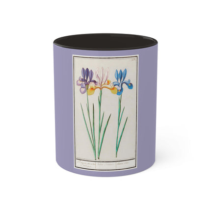 Iris, Iris sibirica by Anselmus Boëtius de Boodt Colorful Mugs, 11oz