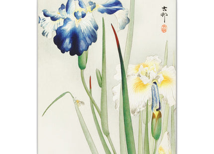 Irises by Ohara Koson Matte Canvas, Stretched, 0.75"