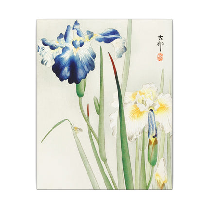 Irises in Bloom by Ohara Koson – Japanese Elegance