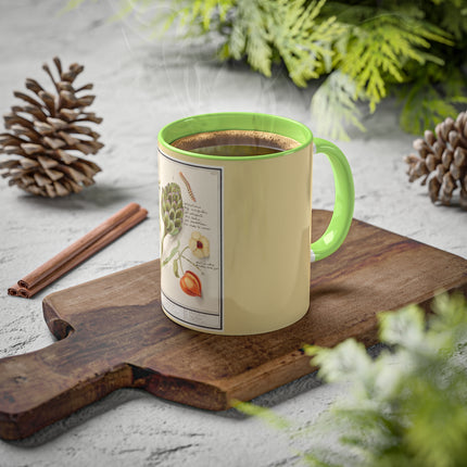 Artichoke, Broad Beans, and Lantern Plant by Anselmus Boëtius de Boodt Colorful Mugs, 11oz