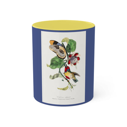 Versicolored Barbet by Paul Gervais Colorful Mugs, 11oz