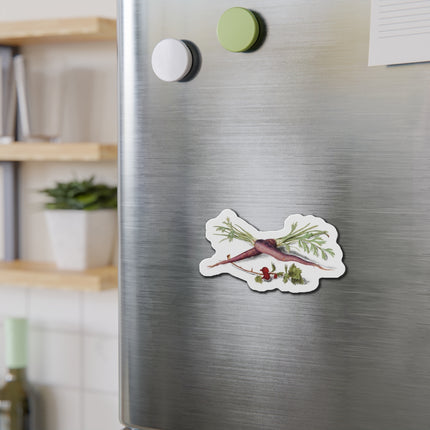 Carrot, Daucus carota and red currant, Ribes rubrum by Anselmus Boëtius de Boodt Die-Cut Magnets (5 Sizes)