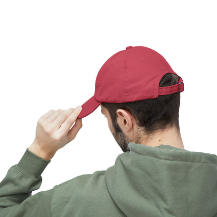 Silent Stripes Unisex Distressed Cap