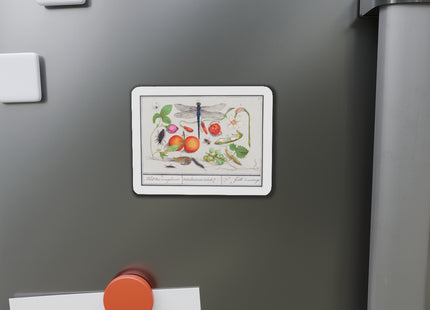 Natural History Ensemble, No. 7 Die-Cut Magnets (5 Sizes)