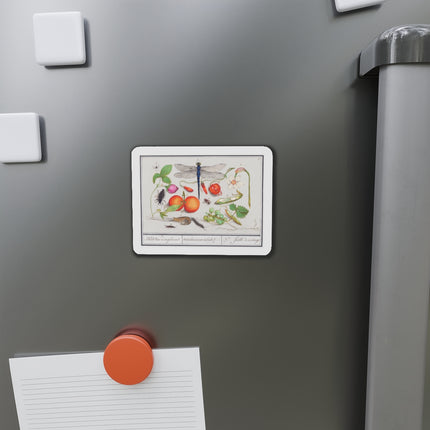 Natural History Ensemble, No. 7 Die-Cut Magnets (5 Sizes)