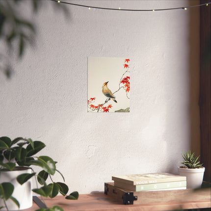 Japanese Plague Bird on Maple by Ohara Koson Fine Art Posters