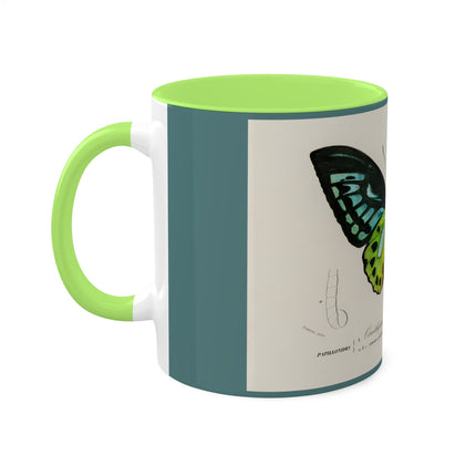 Green Birdwing by Charles Dessalines D' Orbigny Colorful Mugs, 11oz