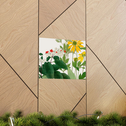 Clerodendrum & Rudbeckia by Tanigami Kônan Premium Matte Horizontal Posters