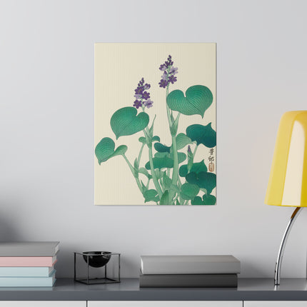 Blooming Hosta by Ohara Koson – Japanese Botanical Elegance