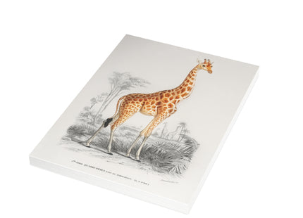 Giraffe by Charles Dessalines D'Orbigny Postcards (envelopes included) - Bundles of 10, 30, 50 Pieces