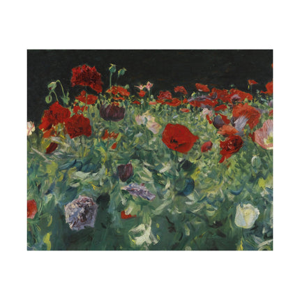 Poppies (A Study of Poppies for Carnation, Lily, Lily, Rose) by John Singer Sargent Matte Horizontal Posters