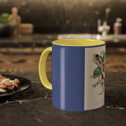 Versicolored Barbet by Paul Gervais Colorful Mugs, 11oz