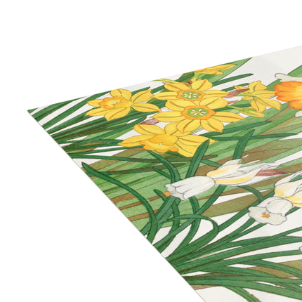 Daffodil by Tanigami Kônan Postcards (envelopes included) - Bundles of 10, 30, 50 Pieces