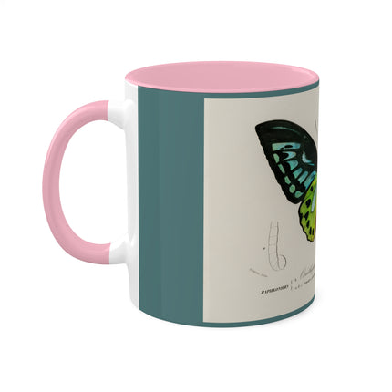 Green Birdwing by Charles Dessalines D' Orbigny Colorful Mugs, 11oz