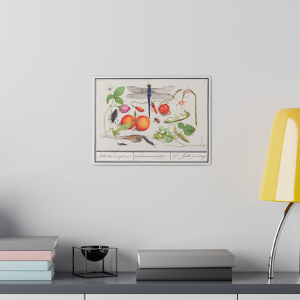 Natural History Ensemble, No. 7 by Anselmus Boëtius de Boodt Matte Horizontal Posters