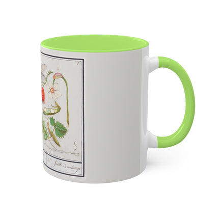 Natural History Ensemble, No. 7 by Anselmus Boëtius de Boodt Colorful Mugs, 11oz