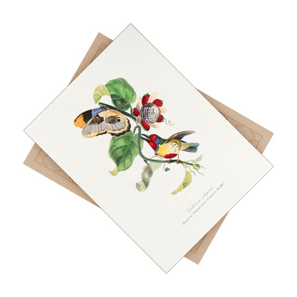 Versicolored Barbet by Paul Gervais Ceramic Tile