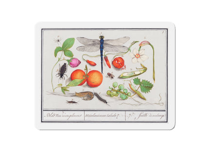 Natural History Ensemble, No. 7 Die-Cut Magnets (5 Sizes)