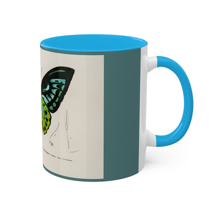 Green Birdwing by Charles Dessalines D' Orbigny Colorful Mugs, 11oz