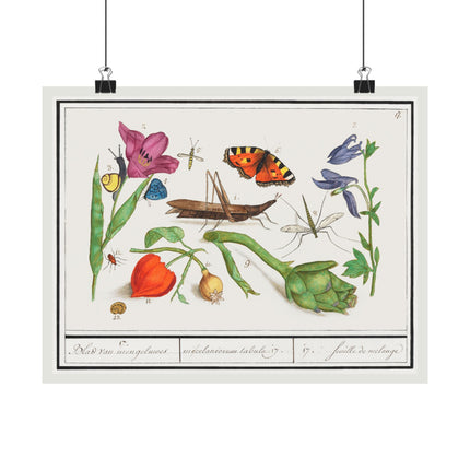 Natural History Ensemble, No. 17 by Anselmus Boëtius de Boodt Matte Horizontal Posters