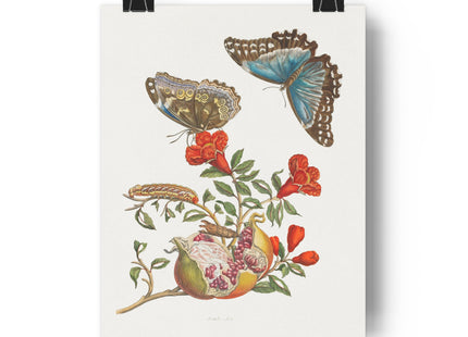 Blue Butterflies and Pomegranate Giclée Art Print