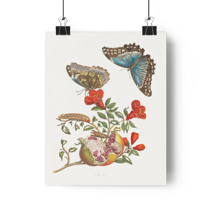 Blue Butterflies and Pomegranate Giclée Art Print