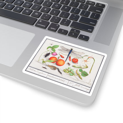 Natural History Ensemble, No. 7 by Anselmus Boëtius de Boodt Kiss-Cut Stickers (4 Sizes)
