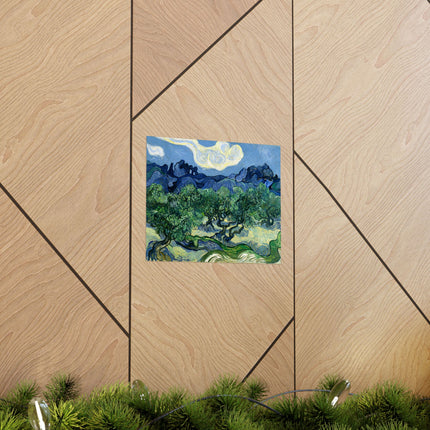 Olive Trees by Vincent Van Gogh Matte Horizontal Posters