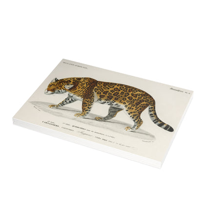 Jaguar by Charles Dessalines D'Orbigny Postcards (envelopes included) - Bundles of 10, 30, 50 Pieces