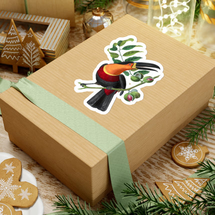 Channel Billed Toucan by Paul Gervais Kiss-Cut Stickers (4 Sizes)