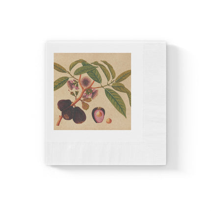 Album of watercolors of Asian fruits and flowers Pl.05 by Anonymous White Coined Napkins