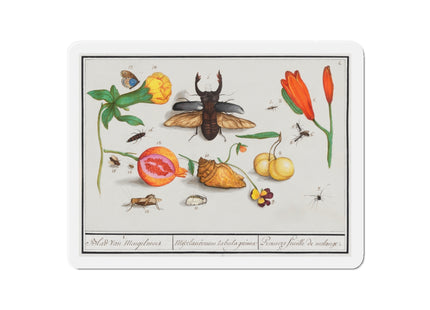 Natural History Ensemble, No. 1 Die-Cut Magnets (5 Sizes)